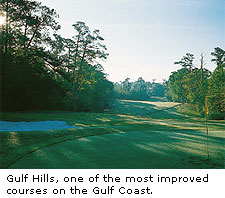 Gulf Hills